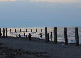 وضعیت میکروبی شناگاه ها بهبود یافته است