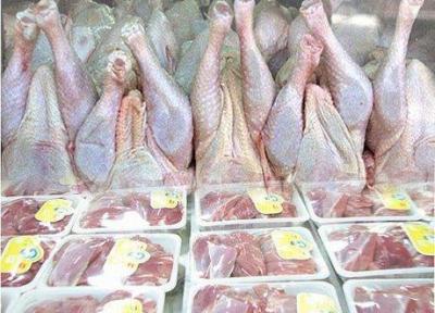 واردات گوشت و تخم مرغ تا ارزانی ادامه دارد، مرغ وارد نمی کنیم