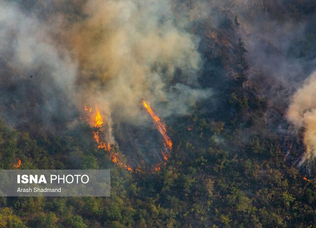 آتش سوزی تابستانی جنگل ها به کدام استان ها بیشترین خسارت را وارد کرد؟