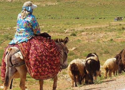 تاخیر در کوچ بهاره عشایر فارس