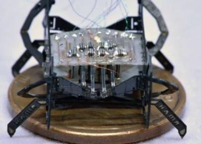 کوچک ترین و سریع ترین ربات جهان ساخته شد