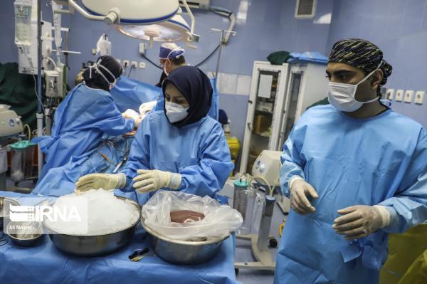 خبرنگاران اهدای عضو در استان بوشهر جان سه بیمار را نجات داد