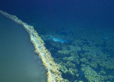 جکوزی آو دیسپیر، دریاچه ای مرگبار در خلیج مکزیک